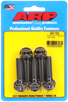 ARP 663-1001 M10 X 1.25 X 20 Hex Black Oxide Bolts - Behrent's